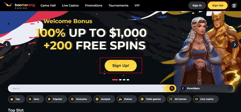 Boomerang Registration 1