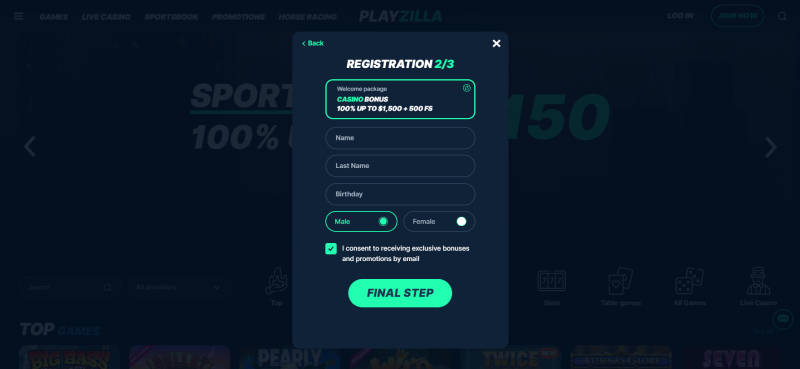 Playzilla Registration 3