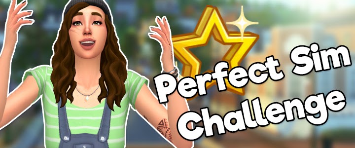 My Simblr — Introducing the Perfect Sim Challenge!