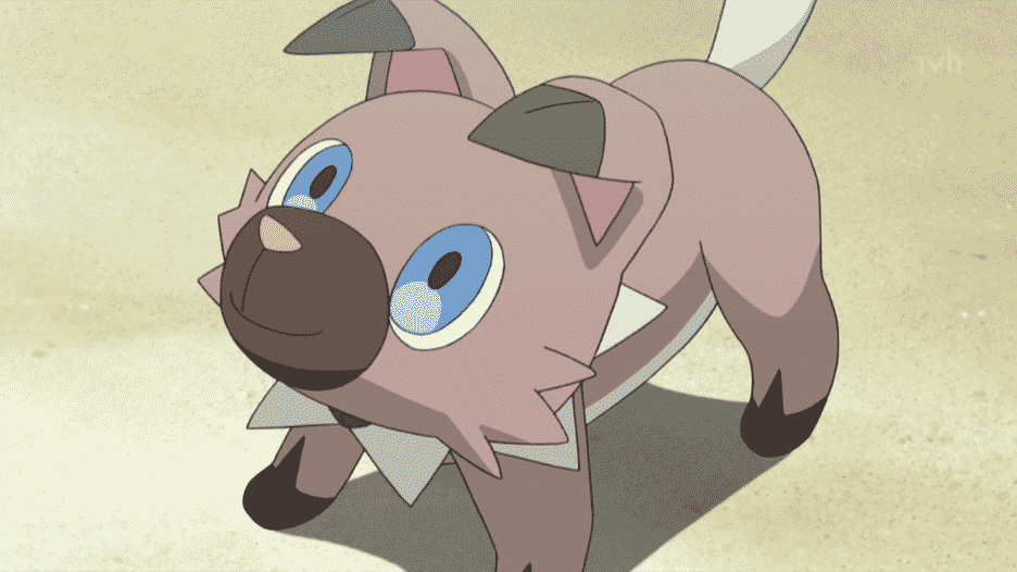 Rockruff