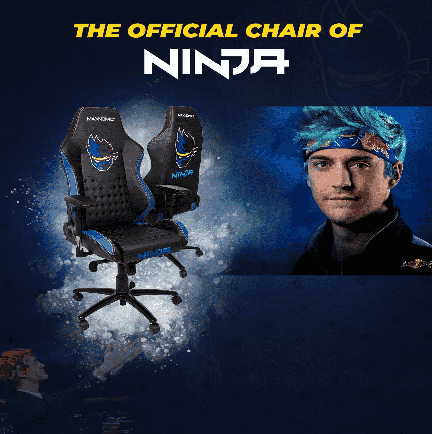 Ninja’s Official Chair