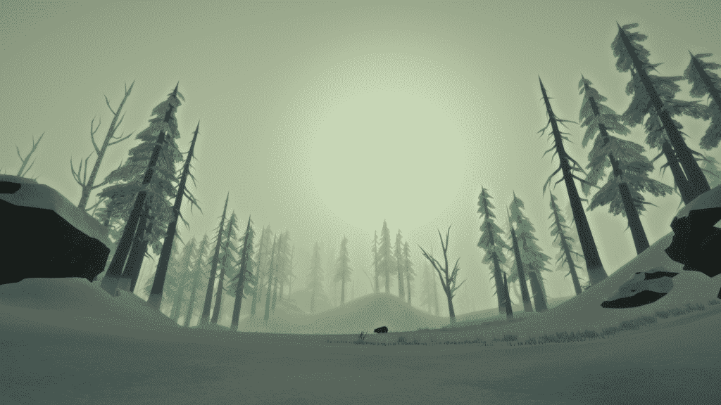 The Long Dark