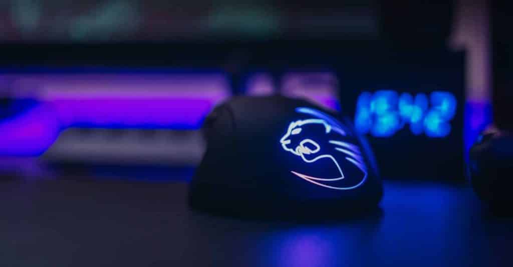What Mouse Does Ninja Use