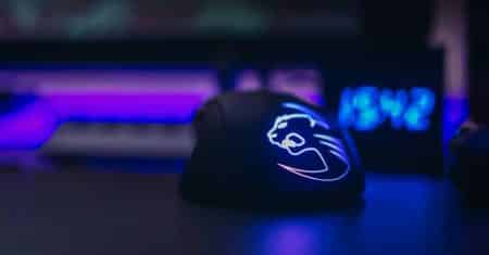 What Mouse Does Ninja Use