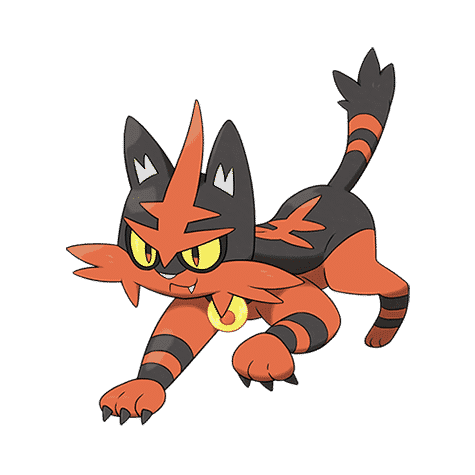 Torracat