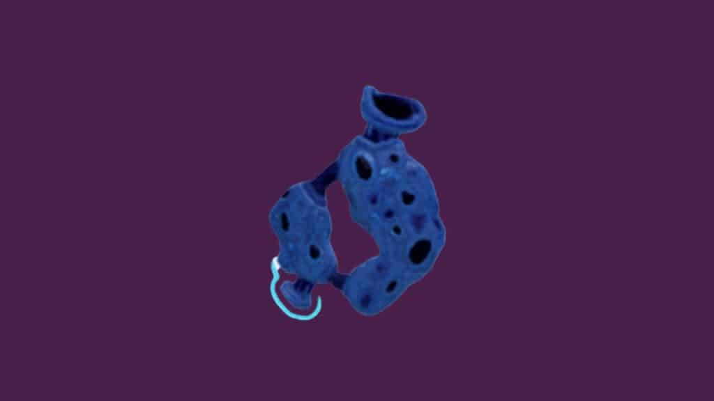 essence of heresy risk of rain 2