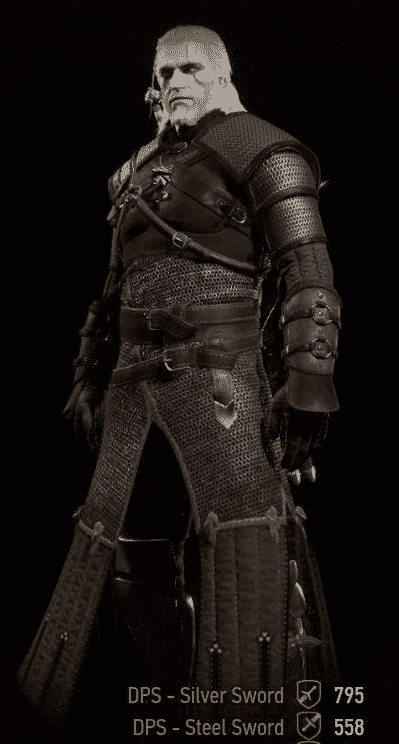 Roaming Witcher Armor Mod