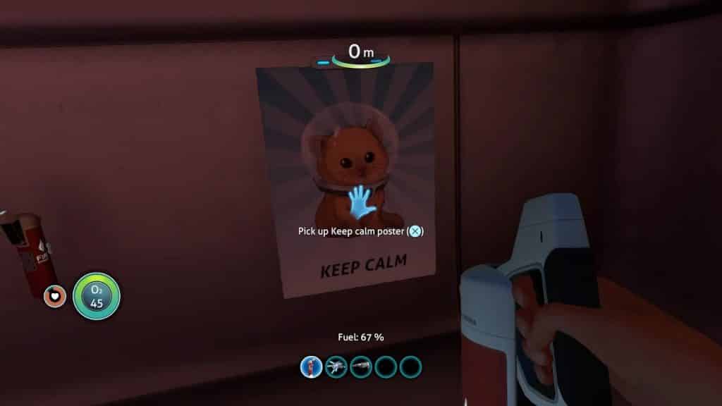 posters and decorations