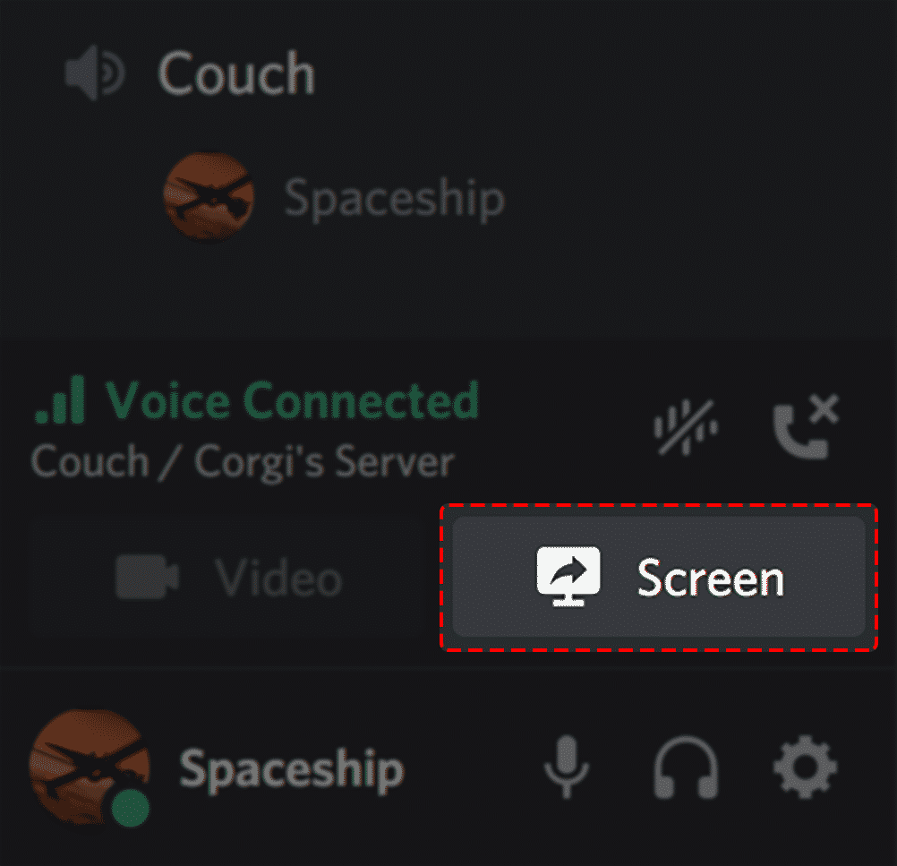 screen sharing option