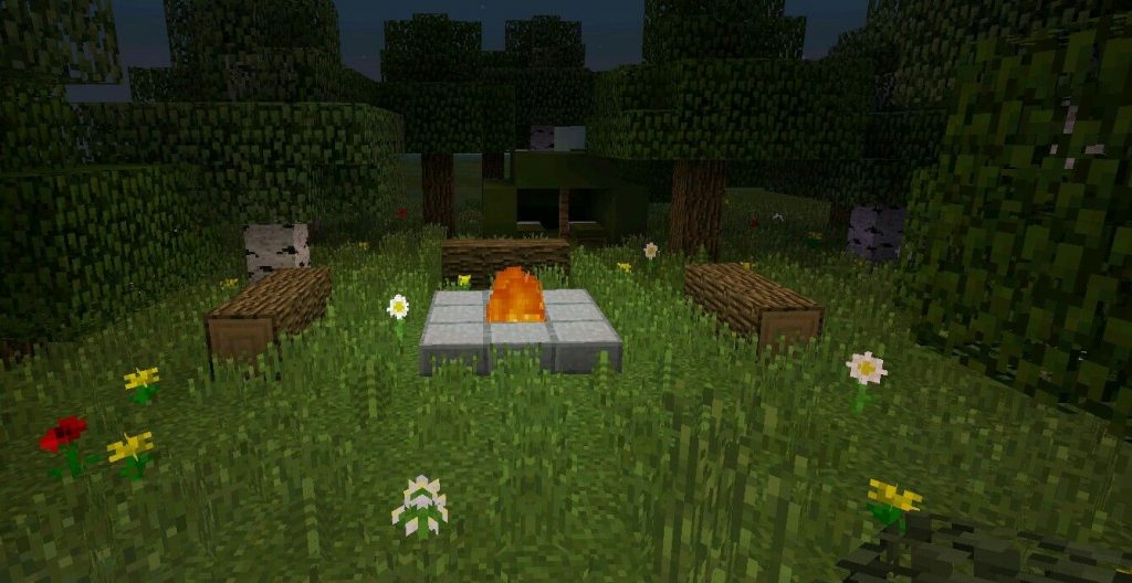 Bonfire and Camping Setup