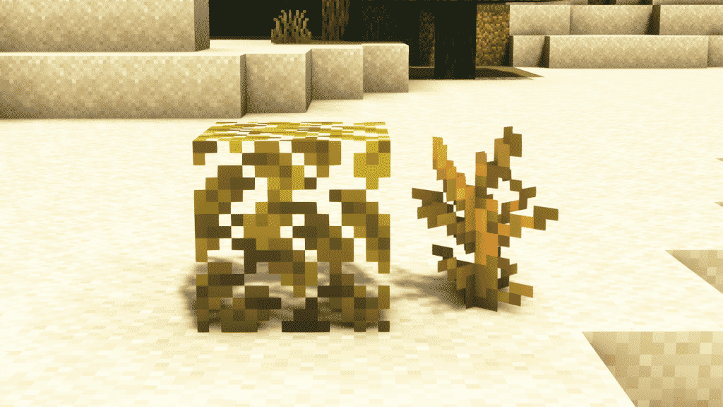 Desert Biome Minecraft