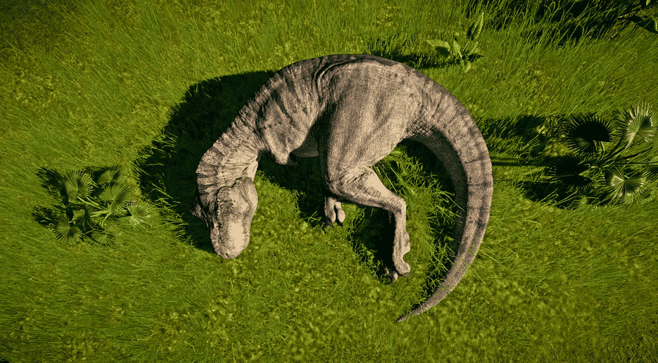 Expanded Dinosaur Behavior