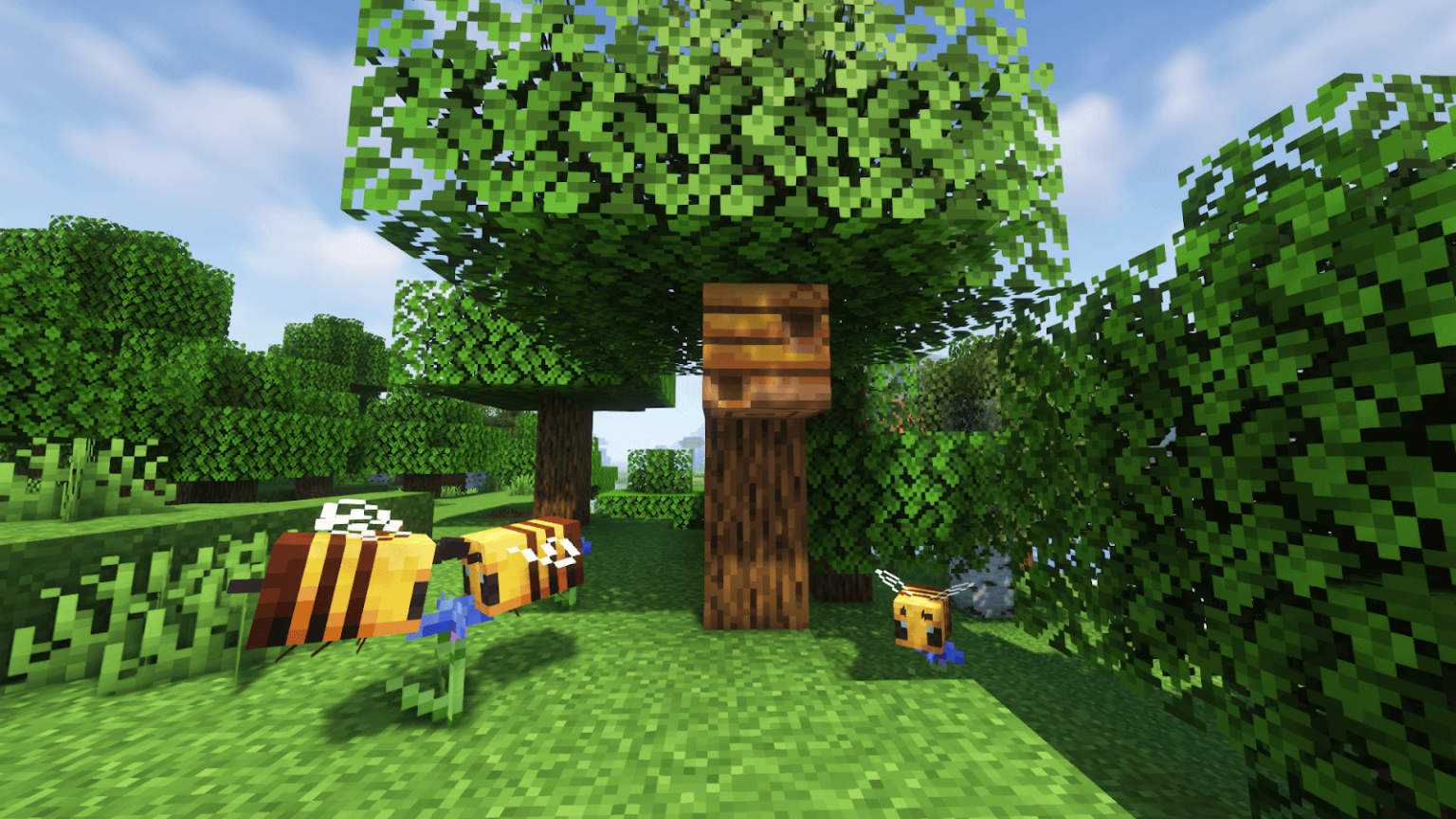 Get Honey in Minecraft