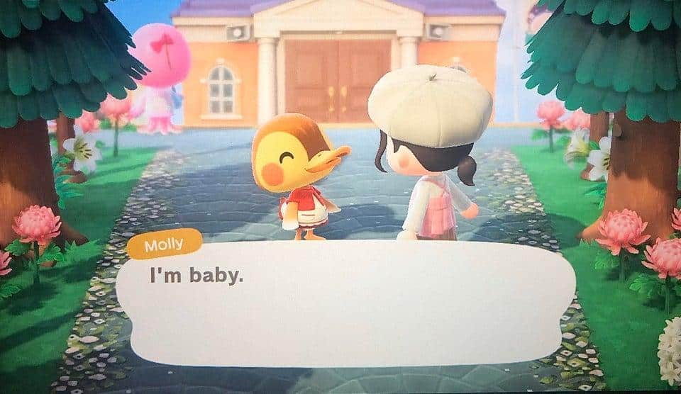 Improve friendship with Molly