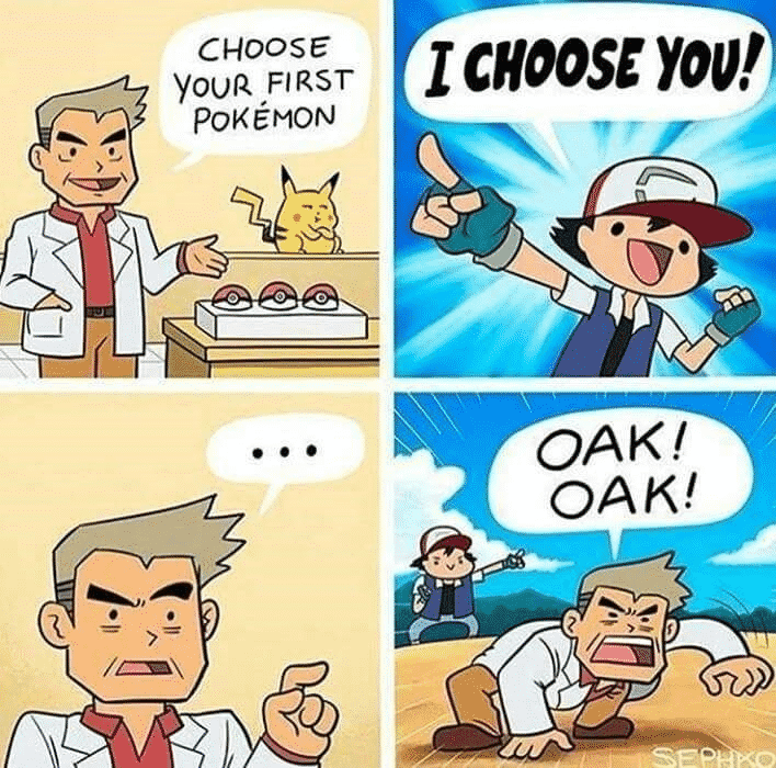Pokemon Anime Memes-8
