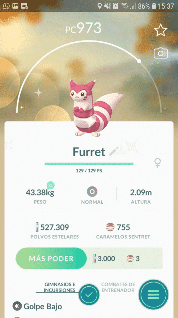 Shiny Furret
