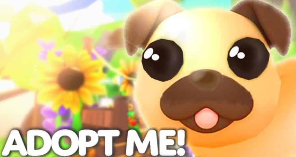 Uncommon Adopt Me Pets