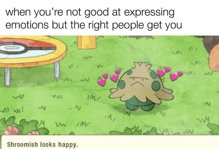 Wholesome Pokemon Memes-2