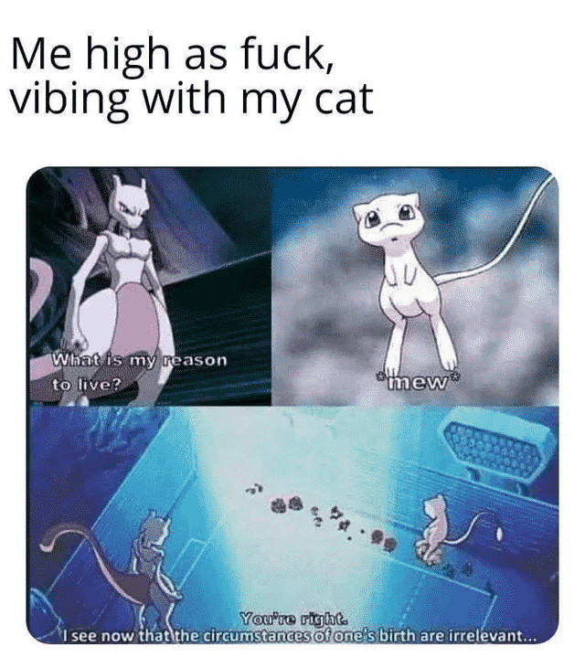 Wholesome Pokemon Memes-3