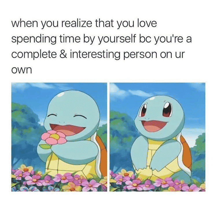Wholesome Pokemon Memes-5