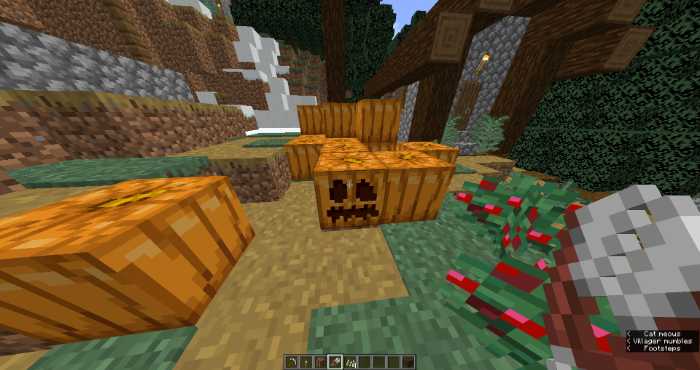 carve out the pumpkin