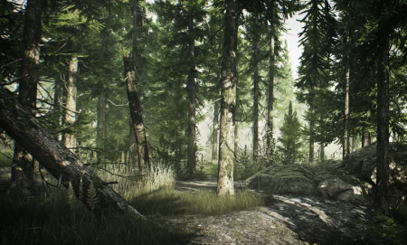 the woods map