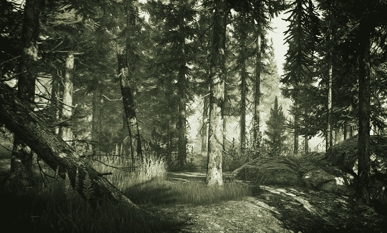 the woods map