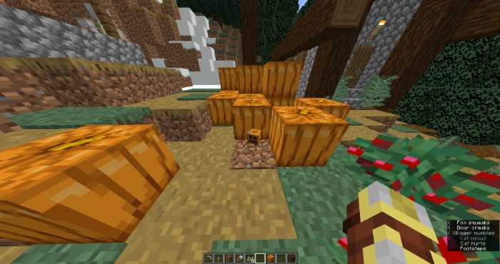 pick up the carved-out Pumpkin