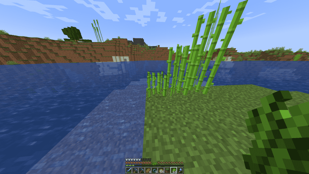 requirements to grow sugar cane