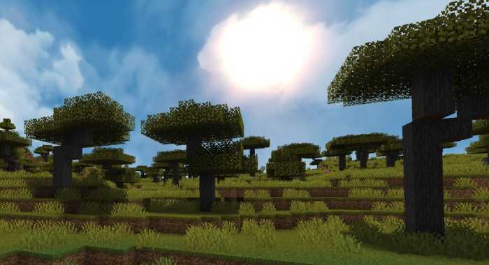 Additional Realism Pack