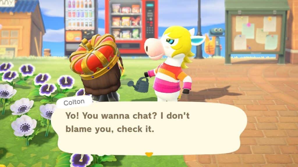 Colton’s Catchphrase