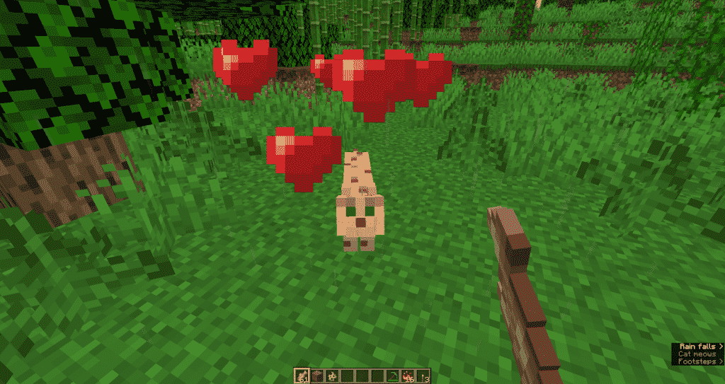 Feed ocelots until you're trusted