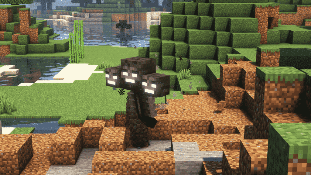 Find a good place for Wither to spawn