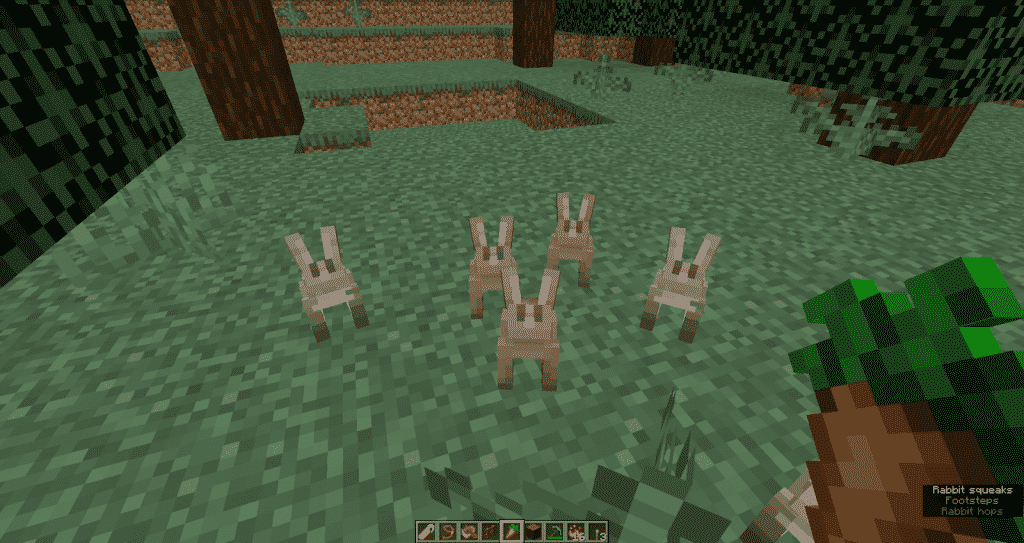 Find a rabbit minecraft