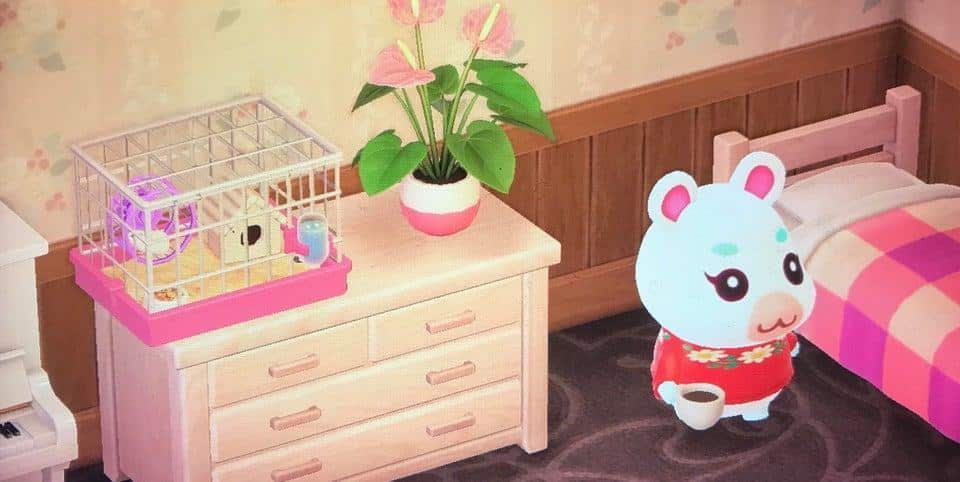 Flurry’s House Interior