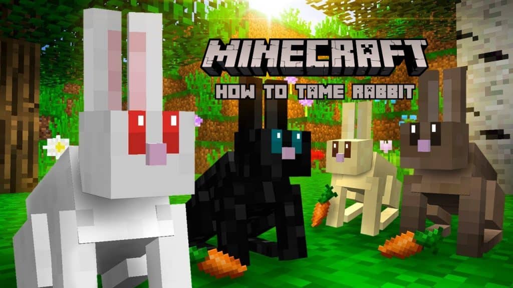 How to Tame Rabbits in Minecraft How to Tame Rabbit in Minecraft