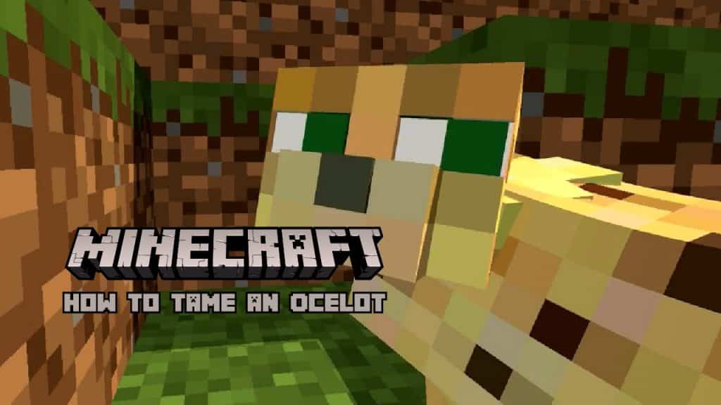 How to Tame an Ocelot in Minecraft How to Tame an Ocelot in Minecraft