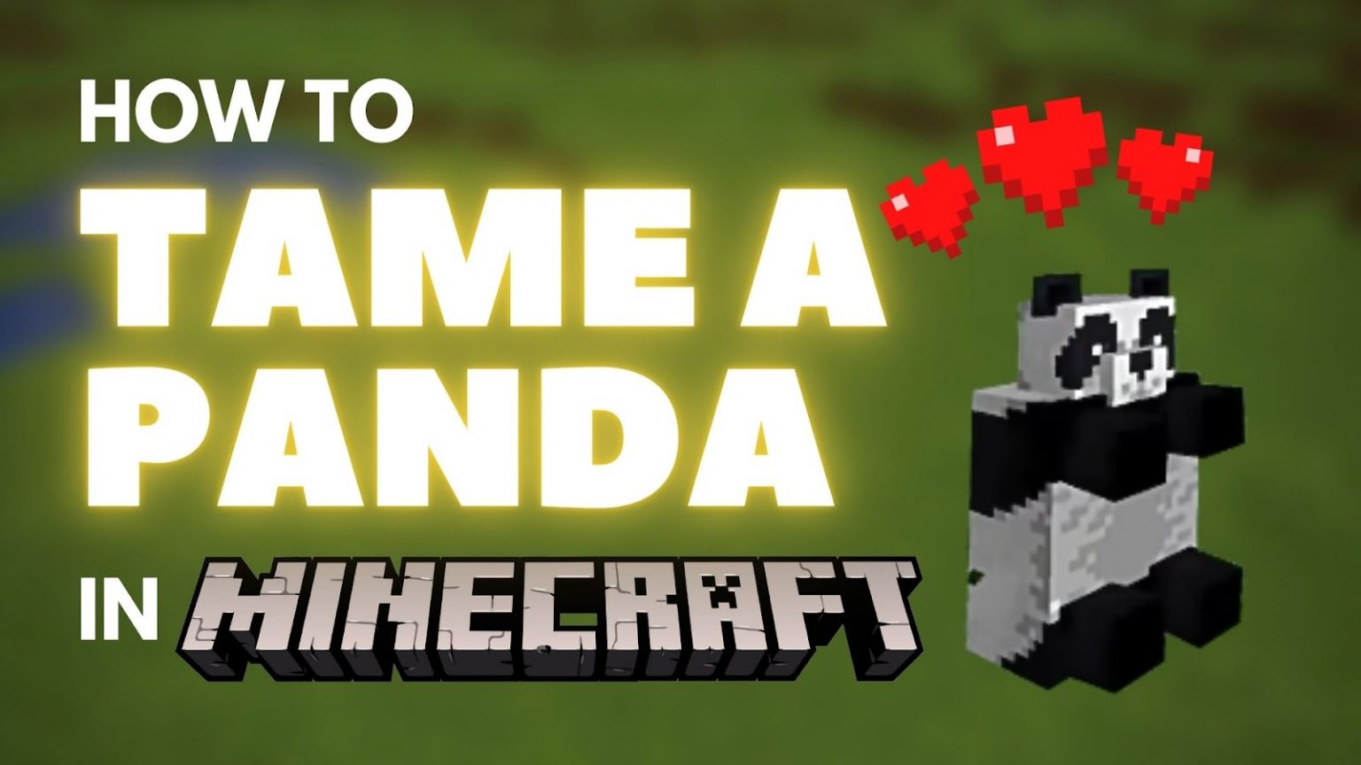 How to tame a Panda in Minecraft