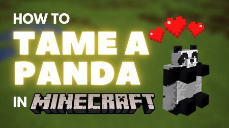 How to tame a Panda in Minecraft