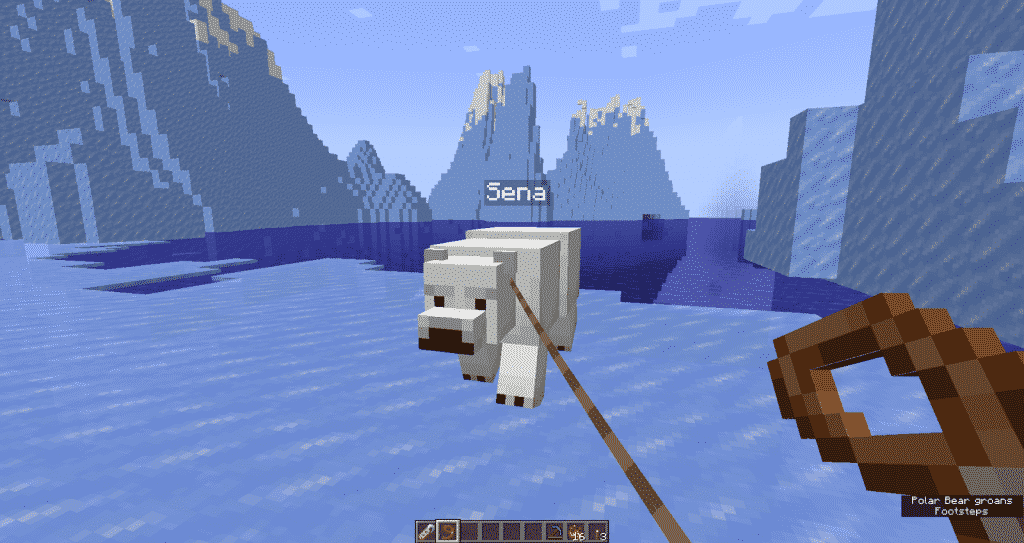 Lead the polar bear home