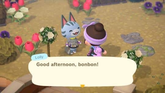 Lolly’s Catchphrase