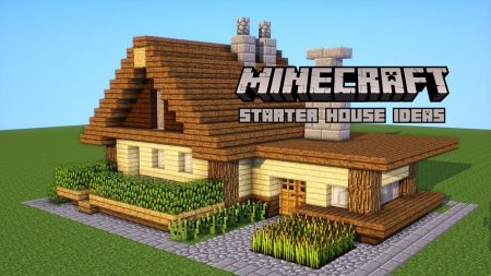 Minecraft Starter House