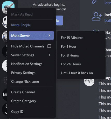 Mute Discord servers