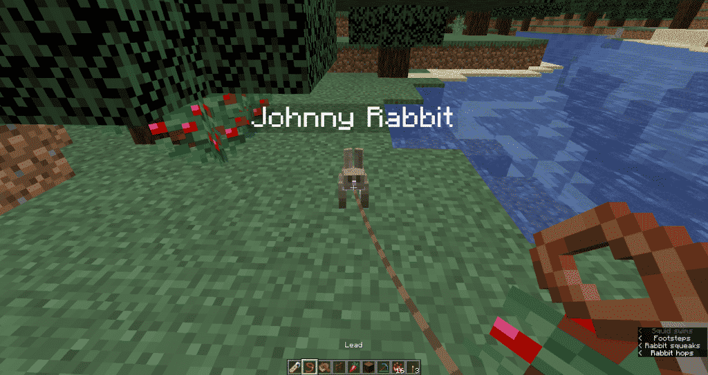 Name tag the rabbit minecraft