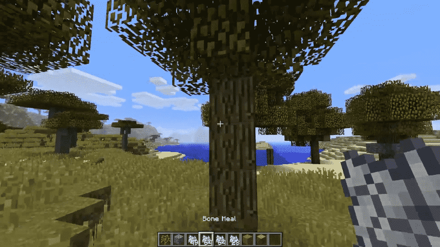 Oak Trees Minecraft