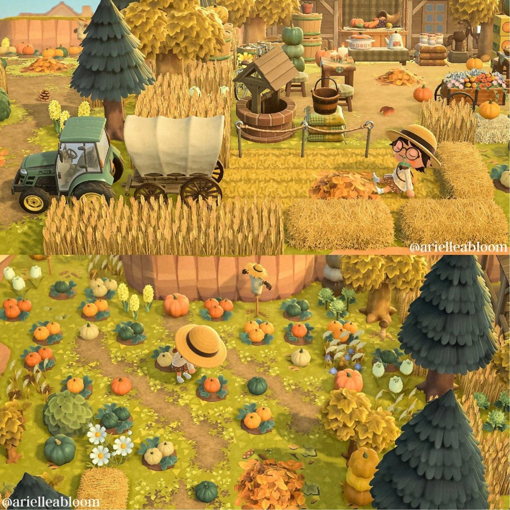 Pumpkin and Autumn Garden