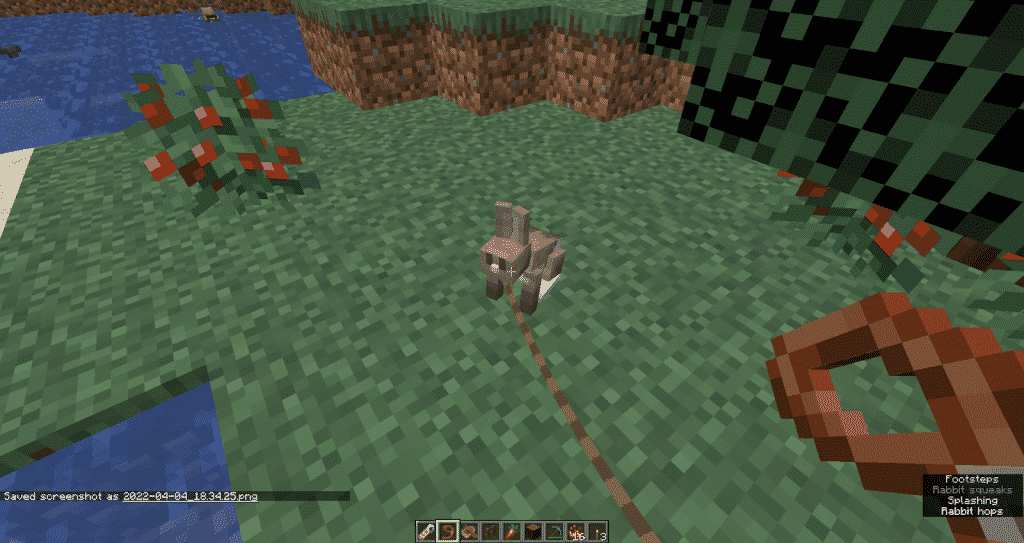 Put the rabbit on a lead