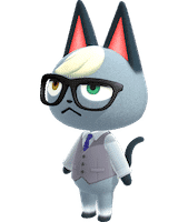 Raymond is a cat with bluish-gray fur