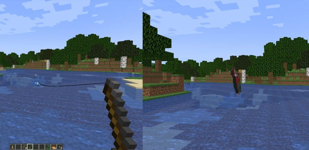 Salmon fished by fishing rod