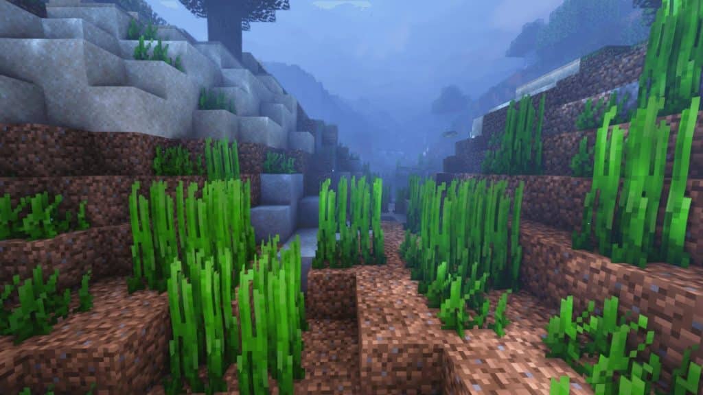 Seagrass in minecraft